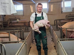 Schweinzucht der GreenPork GmbH