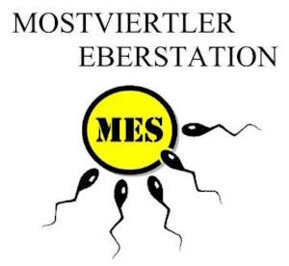 Logo Mostviertler Eberstation