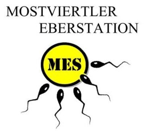 Logo Mostviertler Eberstation